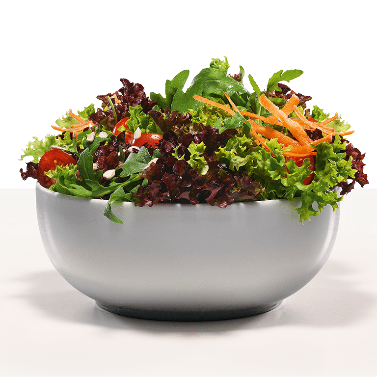 Basic Salat